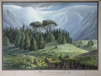 View of the Cedar Forests of Lebanon Seen from the Tripoli Road, c.1800